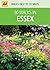 30 Walks in Essex (30 Walks boxed series)