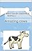 Amazing Cows