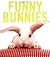 Funny Bunnies by Laurie  Frankel