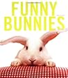 Funny Bunnies by Laurie  Frankel