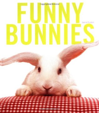 Funny Bunnies (Paperback)