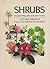 Shrubs