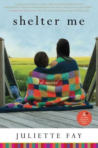 Shelter Me: A Novel About Grief, Fierce Motherhood, and Unexpected Love (Paperback)