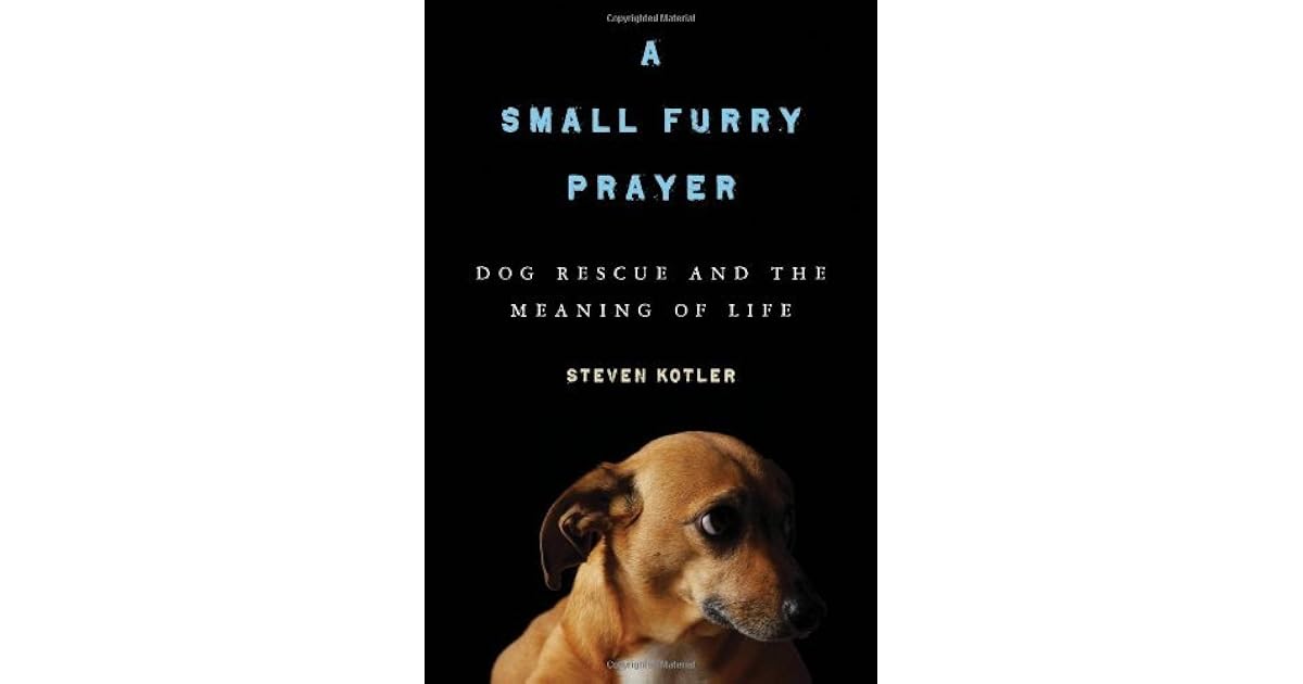 A Small Furry Prayer Dog Rescue and the Meaning of Life by Steven Kotler