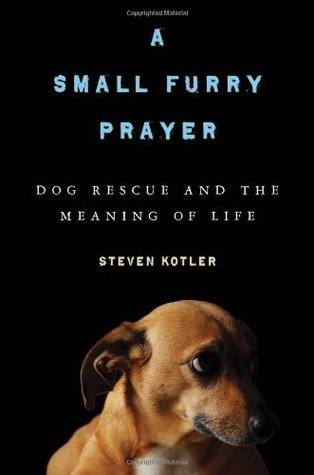 A Small Furry Prayer: Dog Rescue and the Meaning of Life (Hardcover)