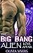 The Big Bang Alien Love Affair