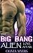 The Big Bang Alien Love Affair