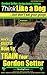 Gordon Setter, Gordon Setter Training | Think Like a Dog...but don't eat your poop! | Breed Expert Gordon Setter Training |: Here's EXACTLY How To TRAIN Your Gordon Setter