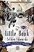The Little Book by Selden Edwards