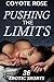 Pushing the Limits: Big Erotica Bundle