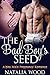 The Bad Boy's Seed