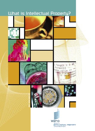 What Is Intellectual Property ?