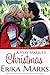 A Very Married Christmas (Loveless & Dunn, #4)