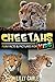 Cheetahs: Fun Facts & Pictures For Kids