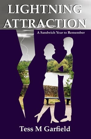 Lightning Attraction: A Year to Remember