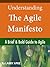 Understanding The Agile Manifesto: A Brief & Bold Guide to Agile