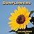 Sunflowers: Photos, Facts, and Fictions