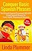 Conquer Basic Spanish Phrases by Linda Plummer