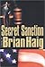 Secret Sanction (Sean Drummond, #1)