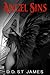 Angel Sins