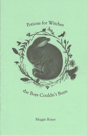 Potions for Witches the Boys Couldn't Burn