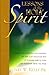 Lessons of the Holy Spirit: A Guide for Entering the Kingdom of God and Discover Why it Pleased God to Hide His Kingdom from the Wise