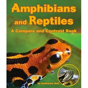 amphibians versus reptiles