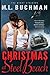 Christmas at Steel Beach (The Night Stalkers holidays #4)