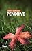 Pendrive