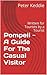 Pompeii - A Guide For The Casual Visitor by Peter Keddie