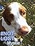 #NOT LOST, Mystie!: True Story of Bruno, Adventurous Country Dog. Children's Bedtime Story with Pictures of Animals. 16 Q & A at the end. 3-8yrs. Ebook