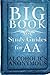 Big Book Study Guides For AA