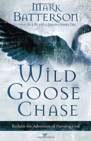 Wild Goose Chase: Reclaim the Adventure of Pursuing God (Paperback)