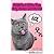 Purrfect Kitty Fun: Silly Memes and Stories (English Edition) [Kindle Edition]
