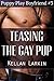 Teasing the Gay Pup (Puppy Play Boyfriend Book 3)