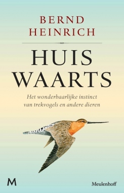 Huiswaarts: het wonderbaarlijke instinct van trekvogels en andere migrerende