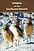 Wildlife of the Southwest Deserts by James W. Cornett