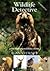Wildlife Detective by Alan  Stewart