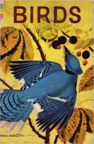 The How and Why Wonder Book of Birds (Hardcover)