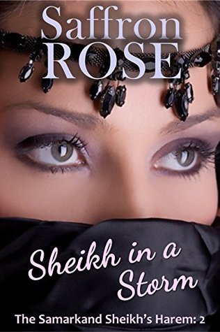 Sheikh in a Storm: Exotic Adventures for Erotic Nights (The Samarkand Sheikh's Harem Book 2)
