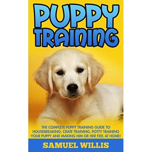 housebreaking training