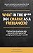 What In The H*** Do I Charge As A Freelancer?: Find Out How To Set Your Rate, Stop Undervaluing Yourself and Get Paid What You're Worth!