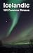 Icelandic: 101 Common Phrases
