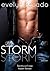 Storm: Book 2
