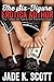The Six-Figure Erotica Auth...