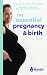 The Essential Pregnancy and...