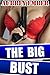 The Big Bust (Hucows and Handcuffs Book 6)