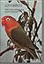 Lovebirds: Their Care and Breeding