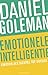 Emotionele intelligentie by Daniel Goleman