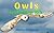 Owls: Fun Facts For Kids, Picture Books For Kids